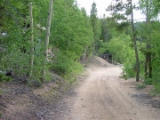 mellow_trail
