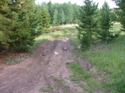 rutted_hill