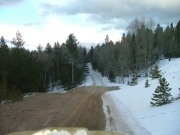 into_the_snow