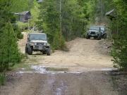 jeeps_on_the_trail