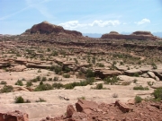 trail_in_the_distance
