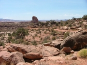 view_from_the_start