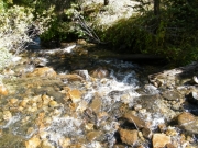 creek_crossing