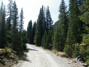early_trail