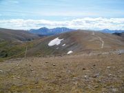 many_trails