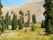 nearing_timberline