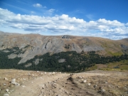 timberline
