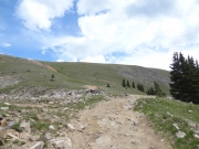 bumpy_climb