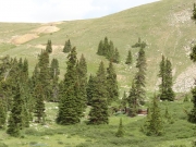 cabin_part_1