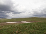 long_view