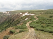 ridge_line