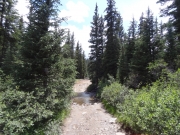 saints_john_creek