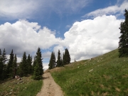 timberline