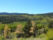 aspens_part_1