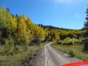 aspens_part_4