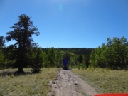 blue_sky