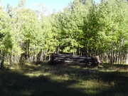 cabins_part_2
