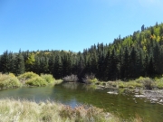 clear_water
