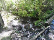 creek