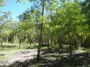 creek_camp