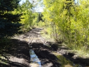 muddy_track