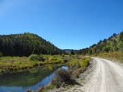 trail_next_to_ponds