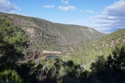 pond