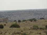 canyon_dropoff