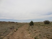 faint_trail