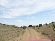 hills