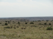 to_the_canyon