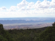 ridge