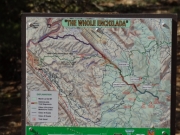 the_whole_enchilada