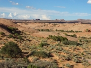 view_from_baby_lions_back