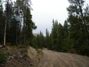 early_trail