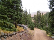 foggy_ahead