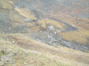 quail_mine_part_1