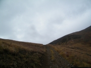 tundra_trail