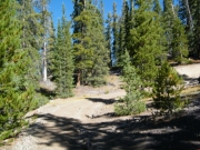 lower_switchback