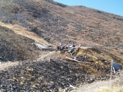 quail_mine_part_1