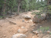 the_low_road