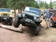 bob_s_on_a_log