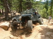robert_on_the_low_road_part_6