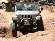 bill_flexing