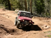 ryan_flexing