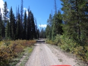 mellow_trail