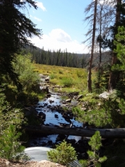 sawmill_creek