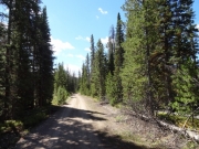 straight_track