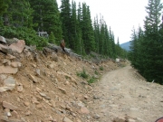 tree-lined_trail