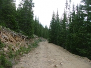 wide_trail